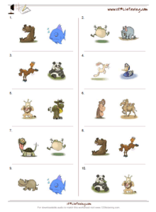 Choose 2 pictures worksheet